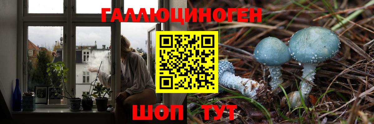 Нововоронеж  Галлюциногенные грибы мухоморы  Вход с VPN 